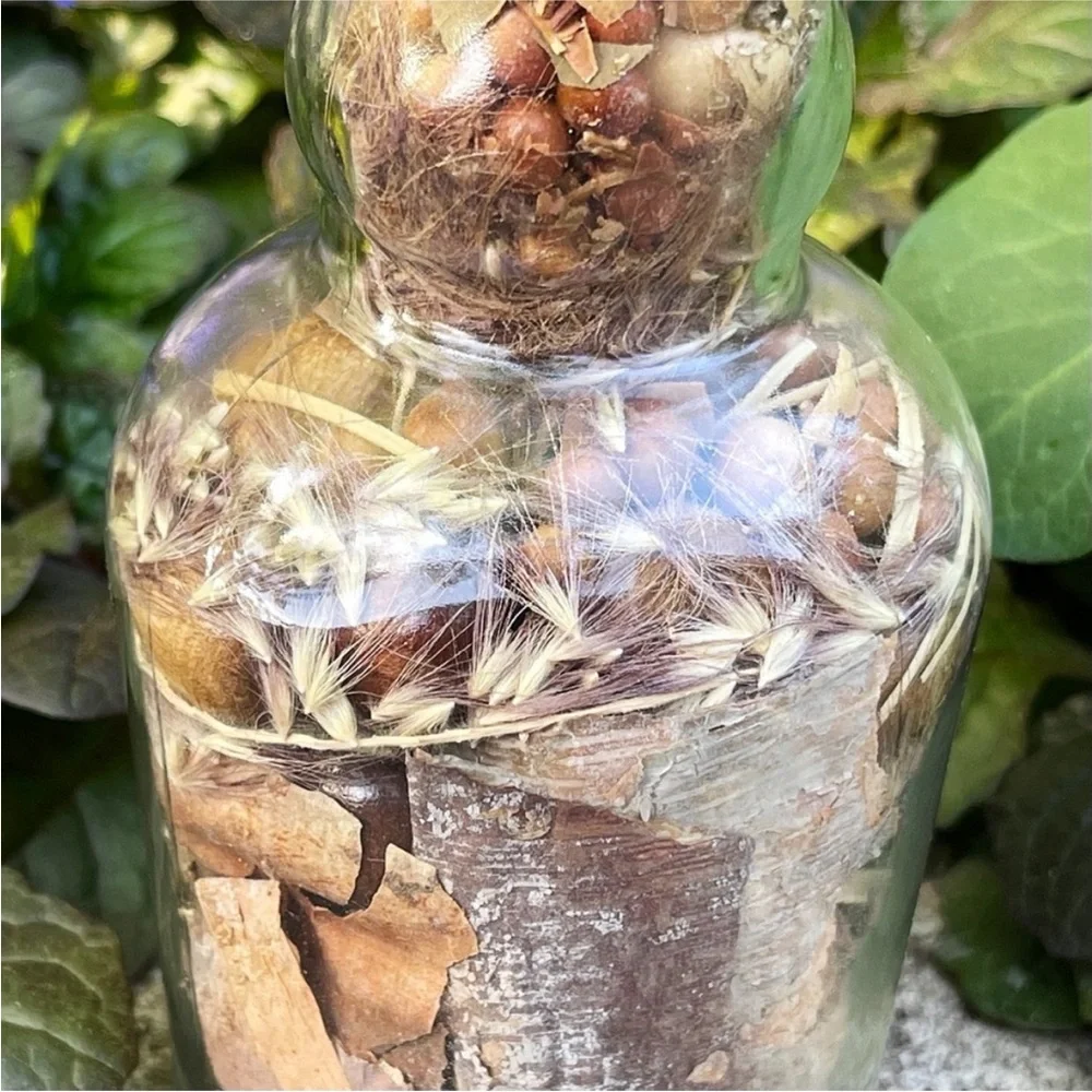 N/A woodland earth
